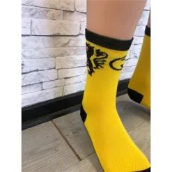 ROYAL BIKE SHOP Chaussettes ROYAL SOCKS Lion Des Flandres -BMX Soldes 4754 large default z