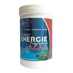 Boisson FENIOUX Energie Progressive BCAA Menthe 600 Gr